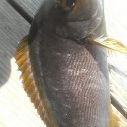 優しい方々に感謝です。