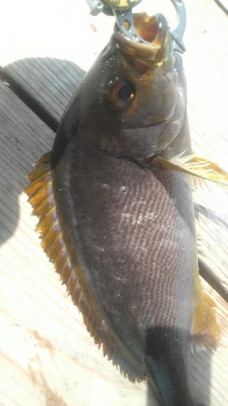 優しい方々に感謝です。