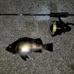 高知愛南遠征3日目