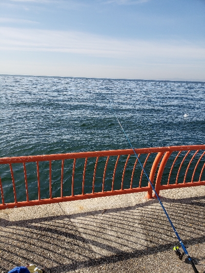 気持ちのいい天気