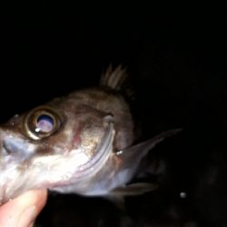 サイズが出ない…