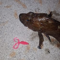 きびしくても優しい！