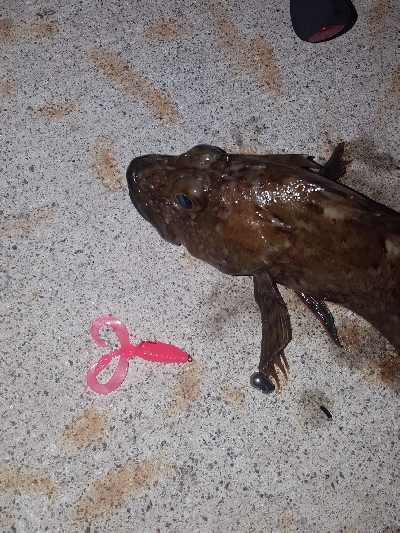 きびしくても優しい！