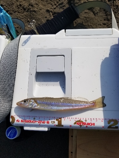 先月のリベンジです