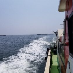 神戸港シーズンイン!?