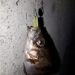 小物ばかり・・・