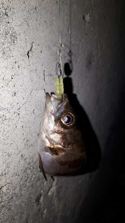 小物ばかり・・・