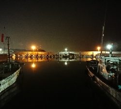 久々にホームへ