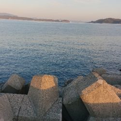 渋かったけどなんとか