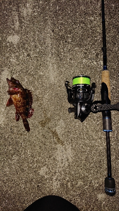 今夜もメバリング。