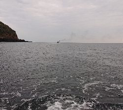 トップでヒラマサ