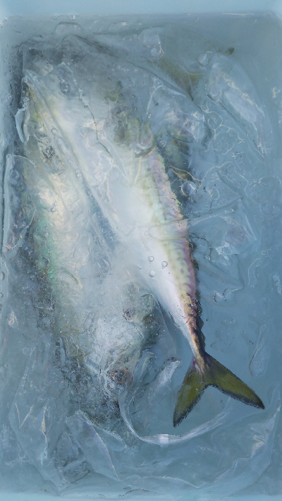 アジングのつもりが…