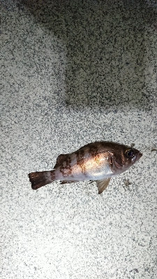 カラーチェンジ。