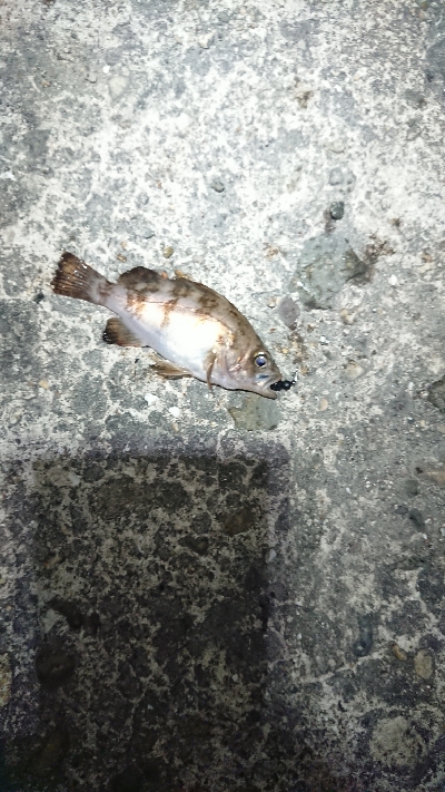 向かい風を選択