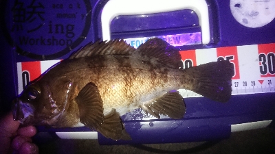 サイズ伸びない