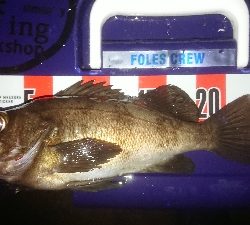 プッハー満足満足