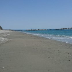 仁淀川河口周辺サーフ、ヒラメ