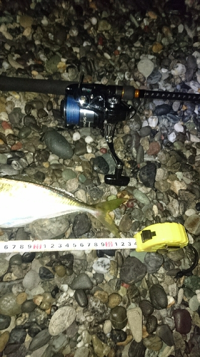 仁淀川河口周辺サーフライトショアジギング