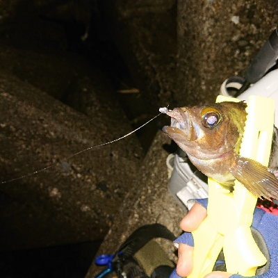 うれしいゲスト