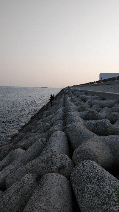 噂のサバ。略してウワサバ