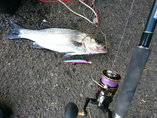 爆風のサラシランガン！