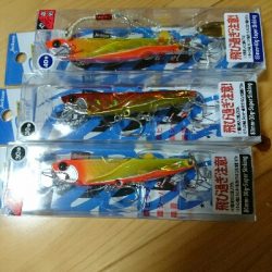 ゴールデンウィークの最終の釣果。