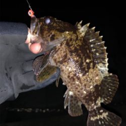 ランガンメバリング