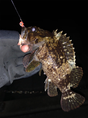 ランガンメバリング