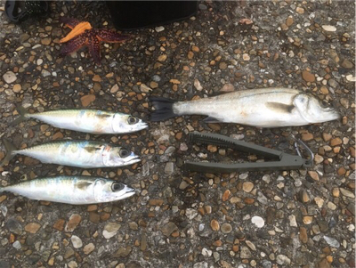 出勤前短時間サバゲー