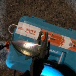 ナイトアジング