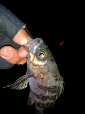 ん？ジャンプ⁇