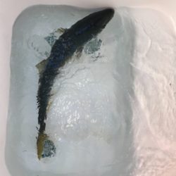 スロージギンク