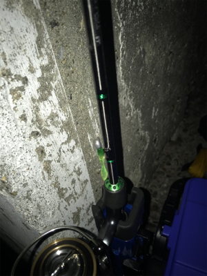 メバリング ⁉️