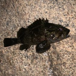 仕事終わりにライトゲーム