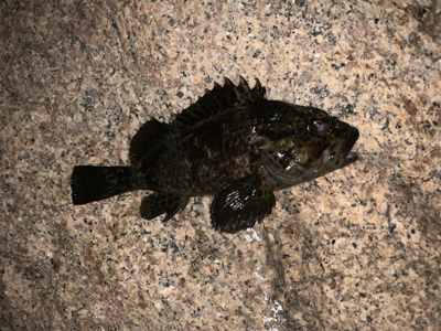 仕事終わりにライトゲーム