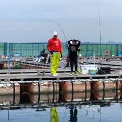 カタタの釣堀にて