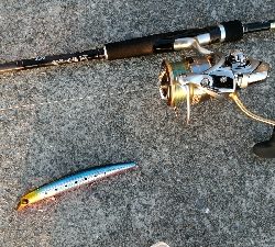 重信川ウェーディングでヒラメ20センチ