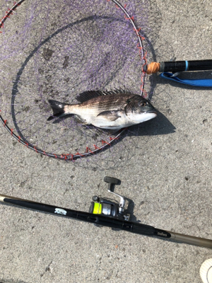 チヌフカセ釣り