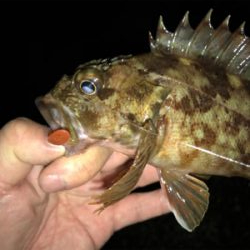 潮が動かなきゃどないもなりません