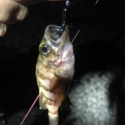 赤いフロート(笑)