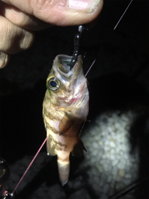 赤いフロート(笑)