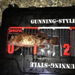 フロートメバリング