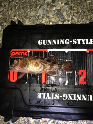 フロートメバリング