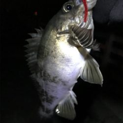 子供が寝てからのお楽しみ♪