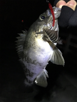 子供が寝てからのお楽しみ♪