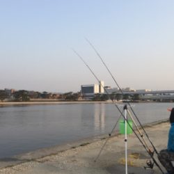 今シーズン初釣果