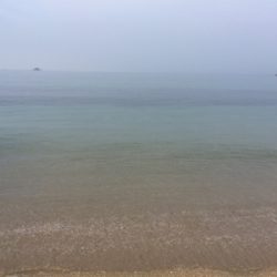 サーフウェーディング