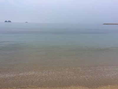 サーフウェーディング