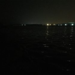 今夜のメバルはちっちゃい!