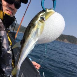 マイボート釣行…南伊勢